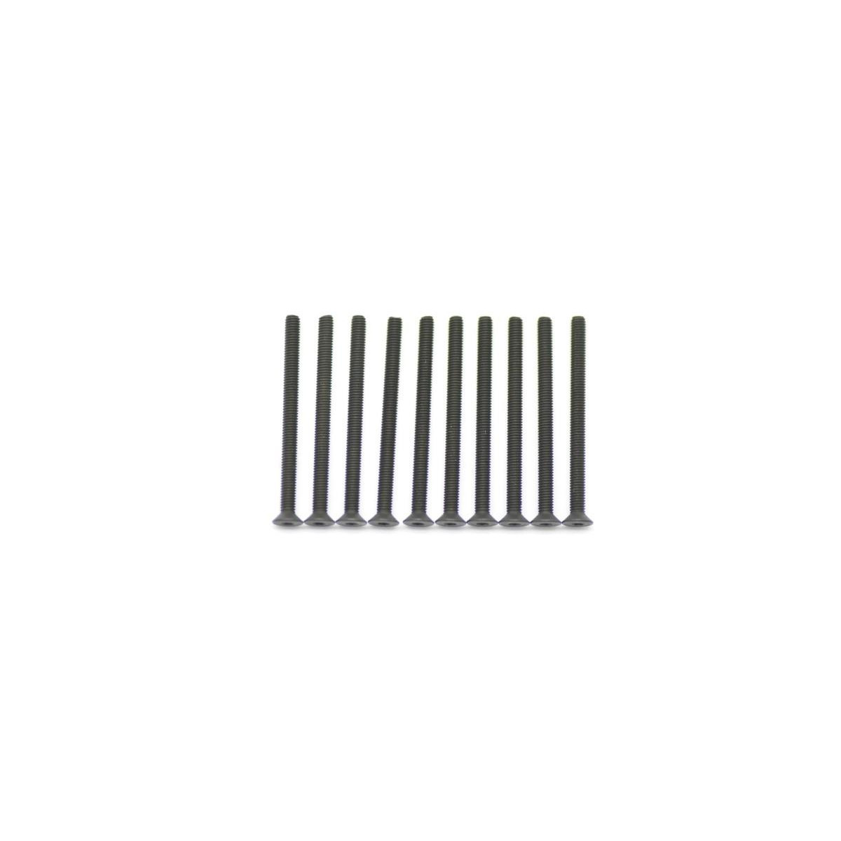 Screw allen csh M3x40 (10)