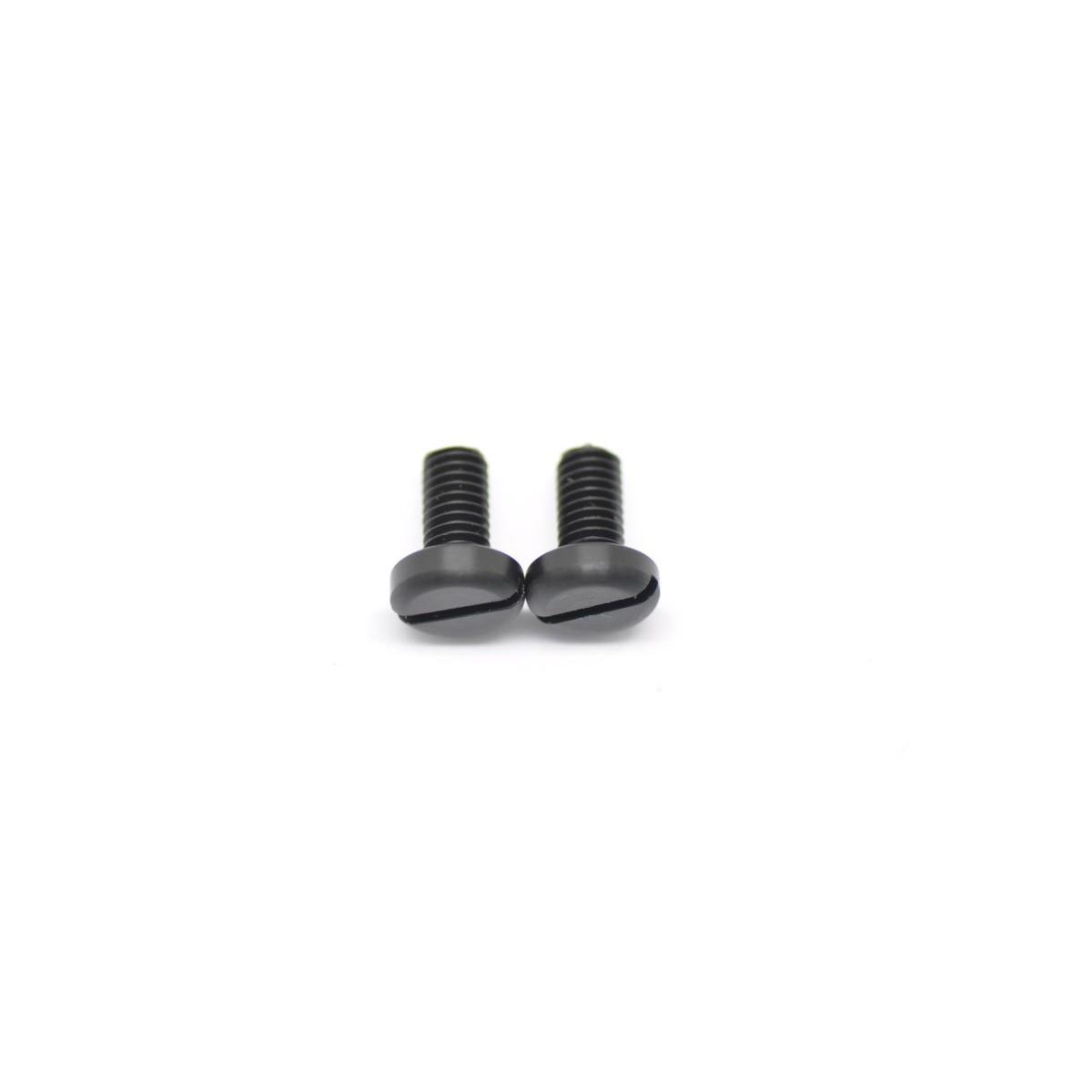 Screw M6x12 nylon black  (2)