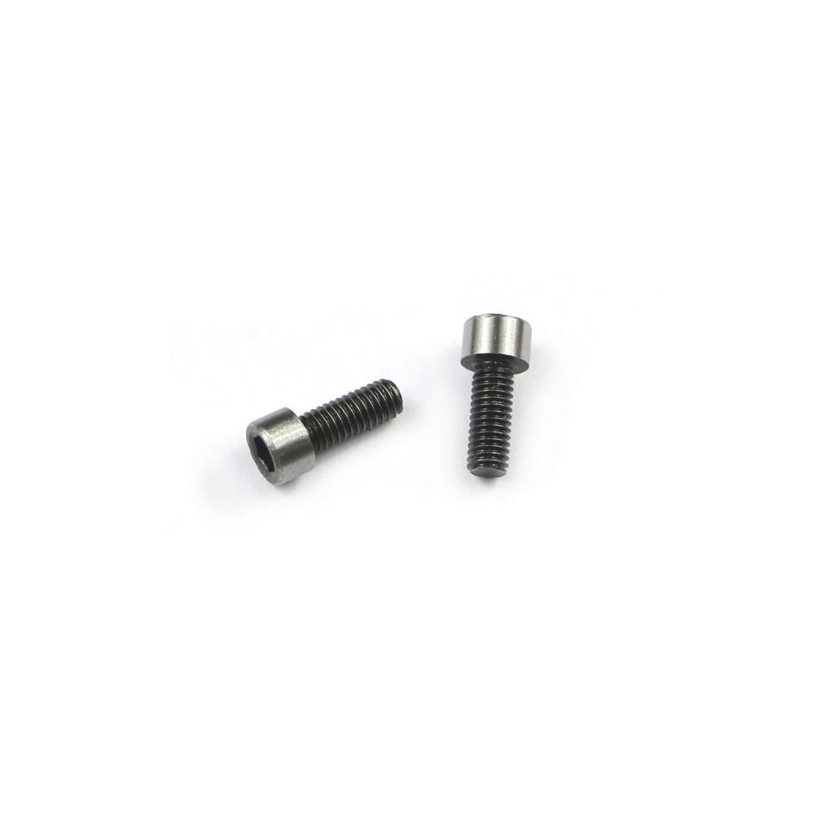 Steering mount screw 4X (2)