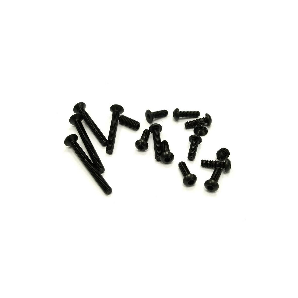 Screw-set  (17)