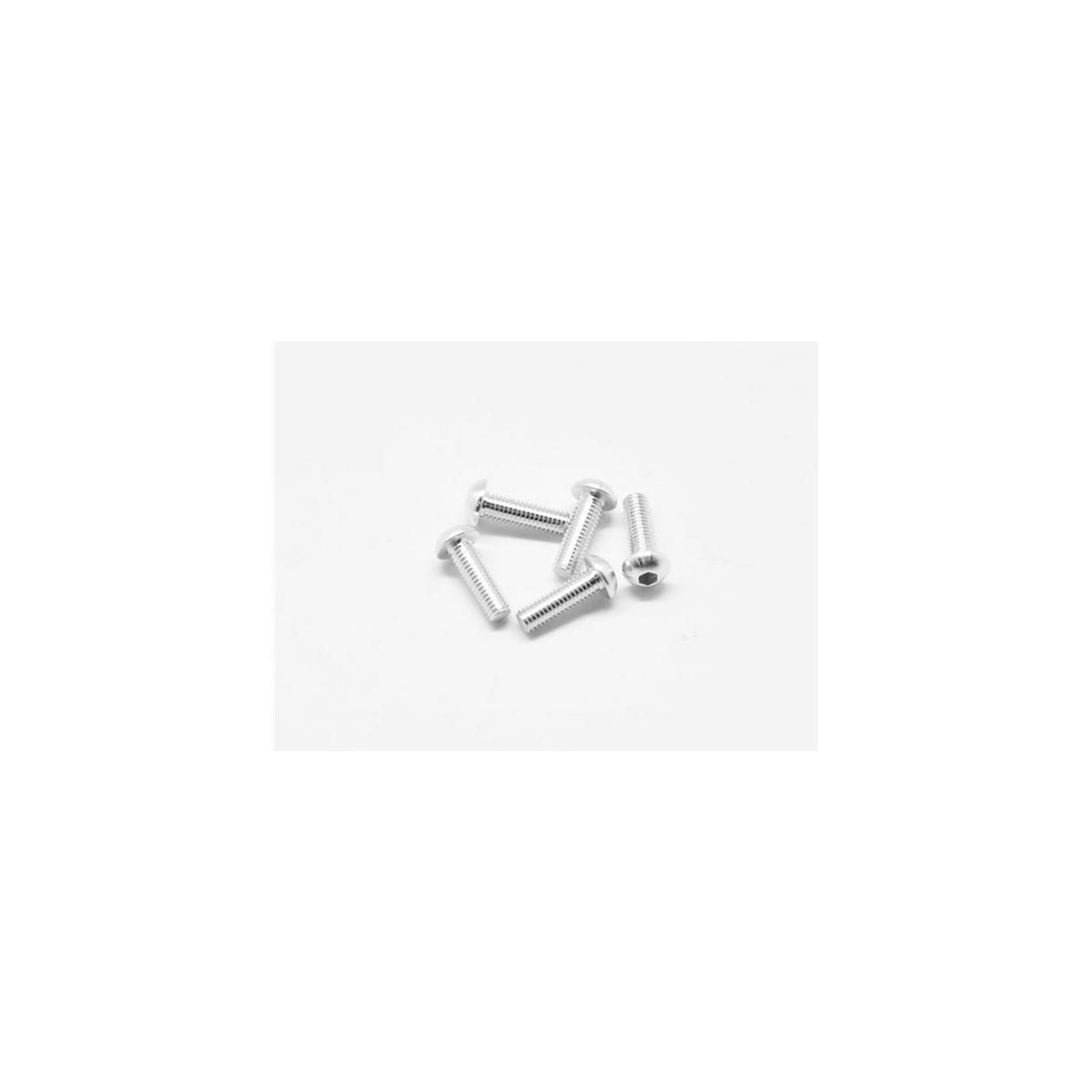 Arrowmax Alu Screw Allen Roundhead M3x10 Silver (7075)...